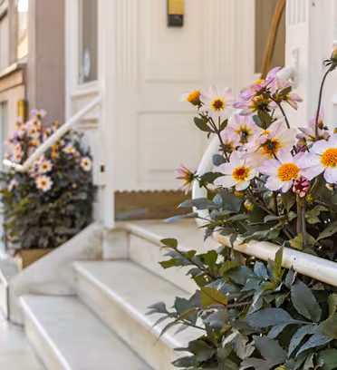 Pink og hvide blomster med gule centre pryder plantekasser på trapperne til en bygningsindgang. Den hvide dør og gelænderet står i kontrast til det grønne. Et brostensbelagt fortov og flere blomsterplanter står langs den nærliggende gade.